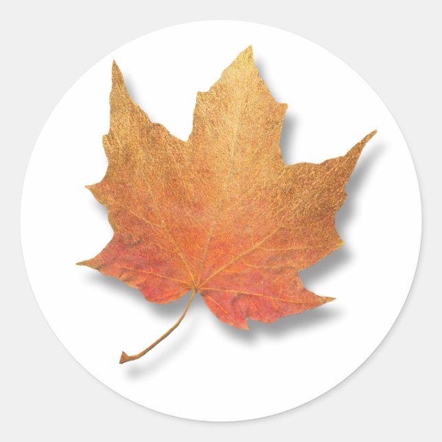 Golden Leaf Classic Round Sticker (Front)
