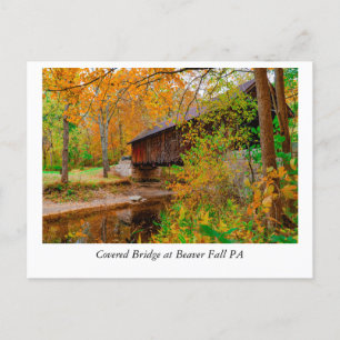 Golden Leaves and Timeless Beauty: Beaver Falls PA Postcard