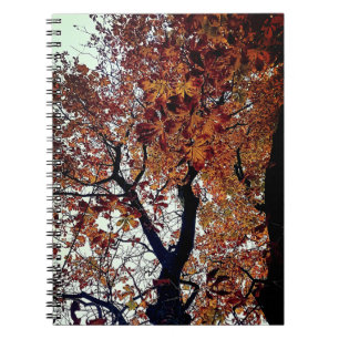 Golden leaves notebook