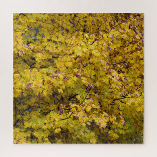 Golden Leaves of Fall - 20x20 inch Jigsaw Puzzle