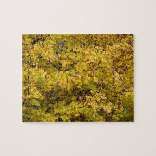 Golden Leaves of Fall - 8x10 inch Jigsaw Puzzle