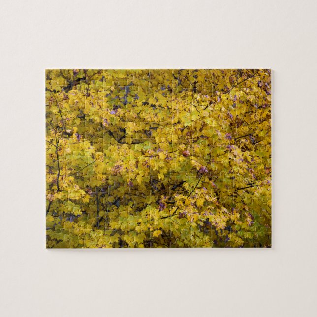 Golden Leaves of Fall - 8x10 inch Jigsaw Puzzle (Horizontal)