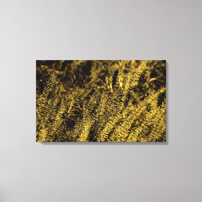 Golden Light Grass Canvas Print (Front)