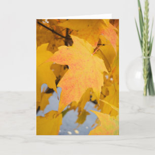 Golden Light Greeting Card