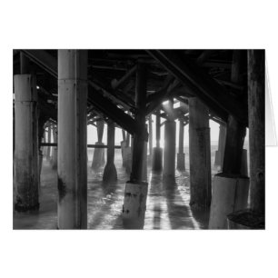Golden Light Shines Through Grayscale