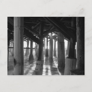Golden Light Shines Through Grayscale Postcard