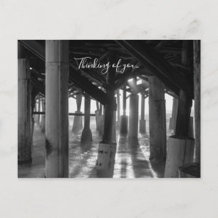 Golden Light Shines Through Grayscale TOY Postcard