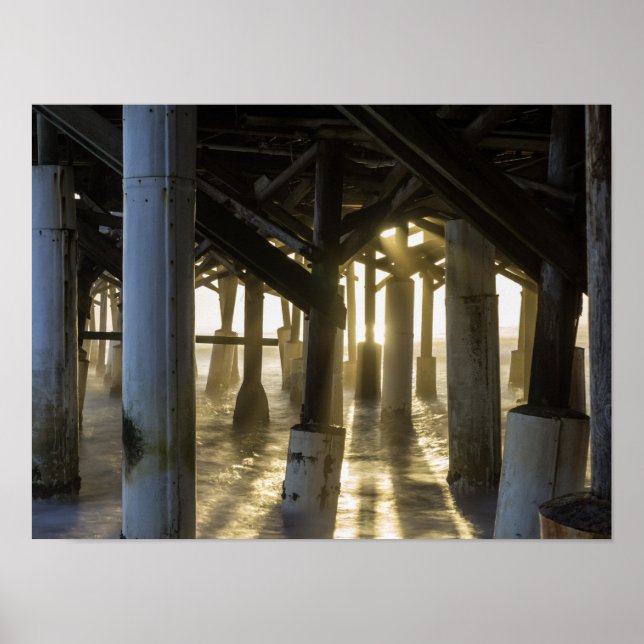 Golden Light Shines Through Poster (Front)