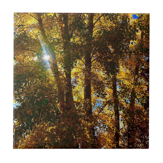 Golden Light Tile (Front)