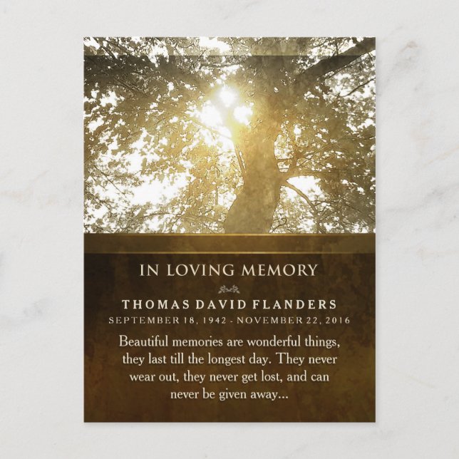Golden Light Tree In Memory Sympathy Thank You Postcard (Front)
