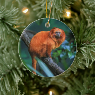 Golden Lion Tamarin Ceramic Tree Decoration