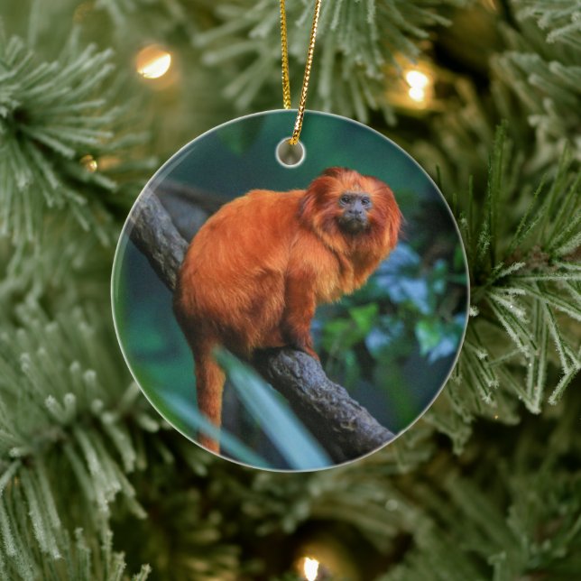 Golden Lion Tamarin Ceramic Tree Decoration (Tree)