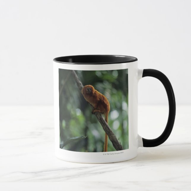 Golden lion tamarin (Leontopithecus rosalia) Mug (Right)