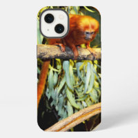 Golden Lion Tamarin Observing, iPhone 13 Case