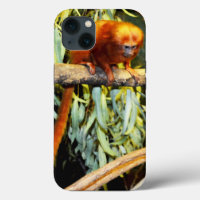 Golden Lion Tamarin Observing, iPhone 13 Case