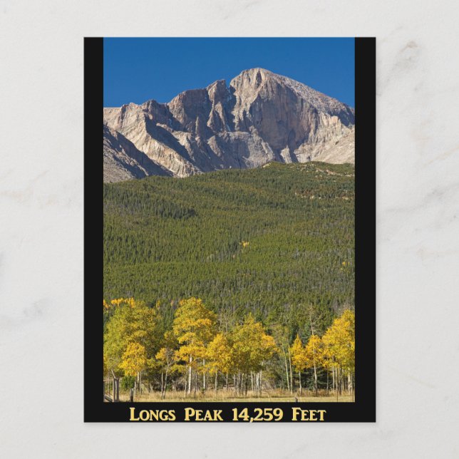 Golden Longs Peak 14259 Poster Postcard (Front)