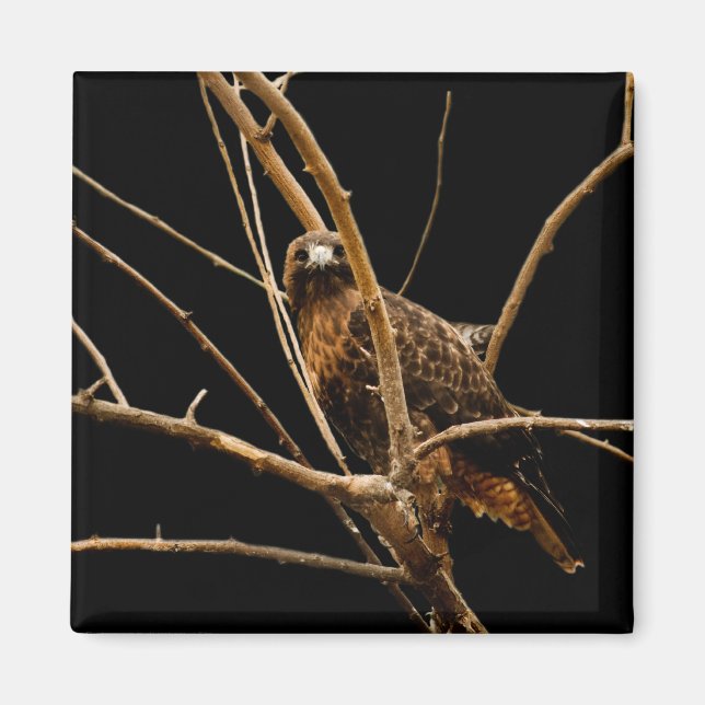 Golden Magnet (Front)