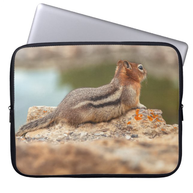Golden Mantle Squirrel Laptop Sleeve (Front)