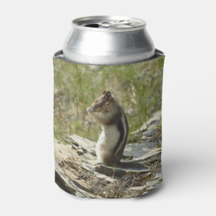 Golden-Mantled Ground Squirrel at Glacier I Can Cooler