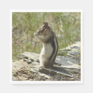 Golden-Mantled Ground Squirrel at Glacier I Napkin