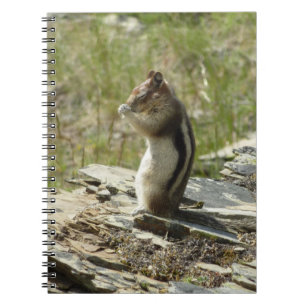 Golden-Mantled Ground Squirrel at Glacier I Spiral Notebook