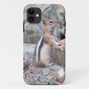 Golden-Mantled Ground Squirrel at Glacier II Case-Mate iPhone Case