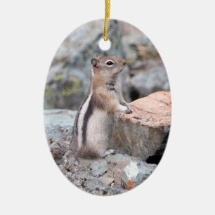 Golden-Mantled Ground Squirrel at Glacier II Ceramic Tree Decoration