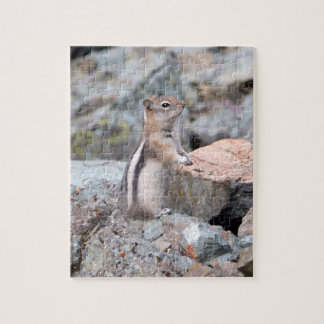Golden-Mantled Ground Squirrel at Glacier II Jigsaw Puzzle