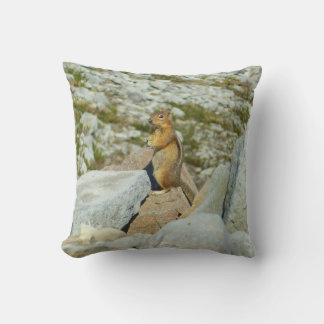 Golden-Mantled Ground Squirrel at Mount Rainier Cushion