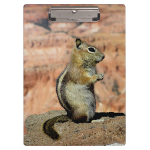 Golden Mantled Ground Squirrel Clipboard
