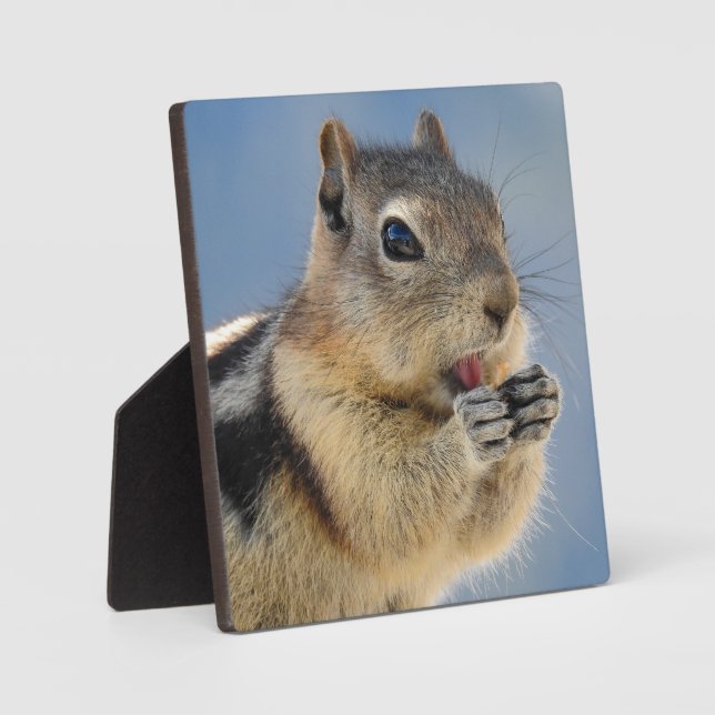 Golden Mantled Ground Squirrel Desktop Plaque (Front)