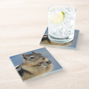 Golden Mantled Ground Squirrel Glass Coaster