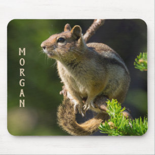 Golden Mantled Ground Squirrel Mouse Pad