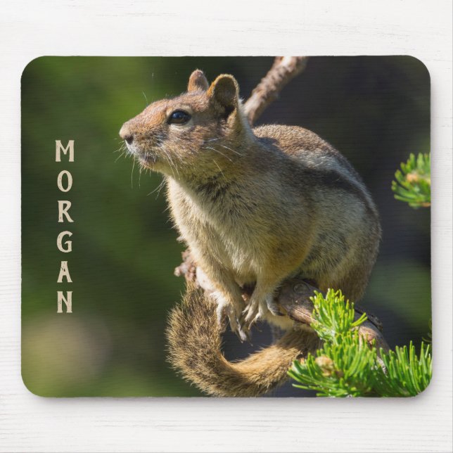 Golden Mantled Ground Squirrel Mouse Pad (Front)