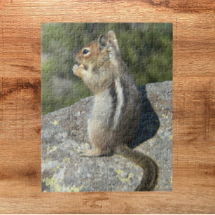 Golden Mantled Ground Squirrel Nature Photo Jigsaw Puzzle