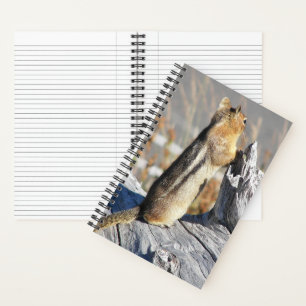 Golden Mantled Ground Squirrel Nature Photo Notebook