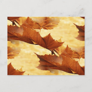 Golden Maple Leaves Painterly Photography Postcard
