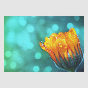 Golden Marigold on Teal Bokeh Tissue Paper