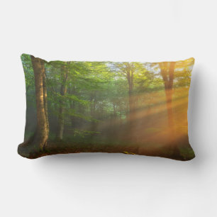 Golden Moment of Light Lumbar Cushion