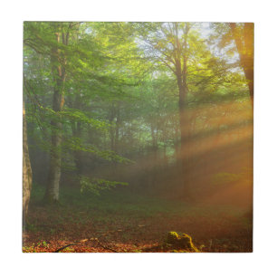 Golden Moment of Light Tile