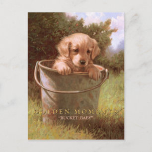 GOLDEN MOMENTS POSTCARD