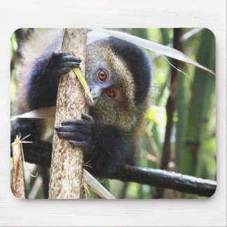 Golden Monkey in African Jungle Mouse Pad