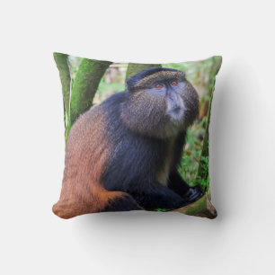 Golden Monkey, Rwanda Cushion