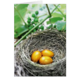 Golden Nest Eggs