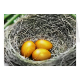Golden Nest Eggs