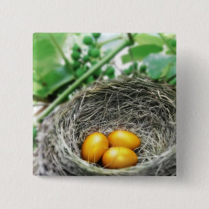 Golden Nest Eggs 15 Cm Square Badge