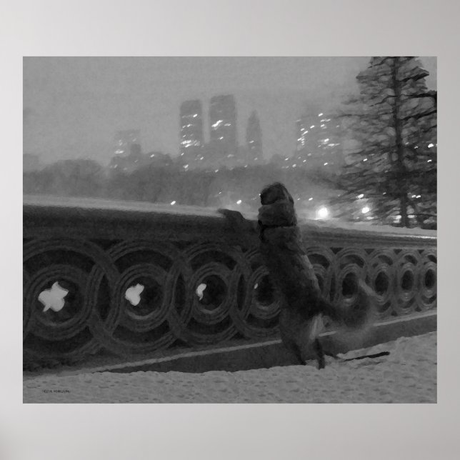 Golden on Bow Bridge in Snow Poster (Front)