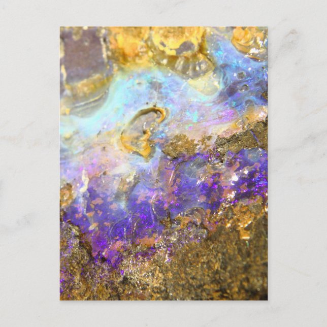 Golden Opal Postcard (Front)
