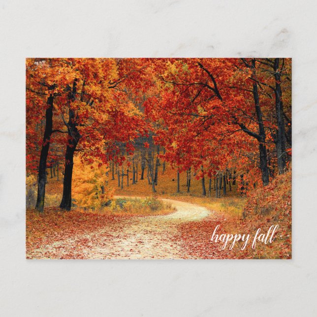 Golden Orange and Yellow Fall Trees Nature Trail Postcard (Front)