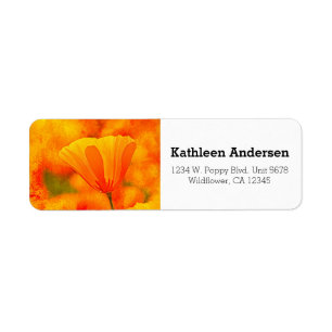 Golden Orange California Poppy "Land Of Orange"